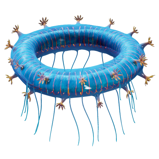 Jelly Ring